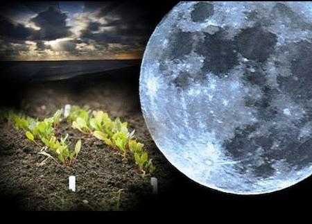 посевной_календарь