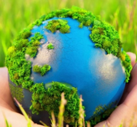 год_экологии