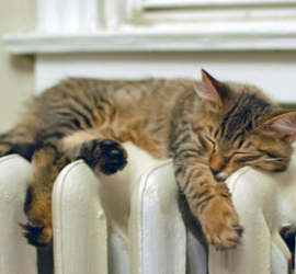 отопительный_сезон